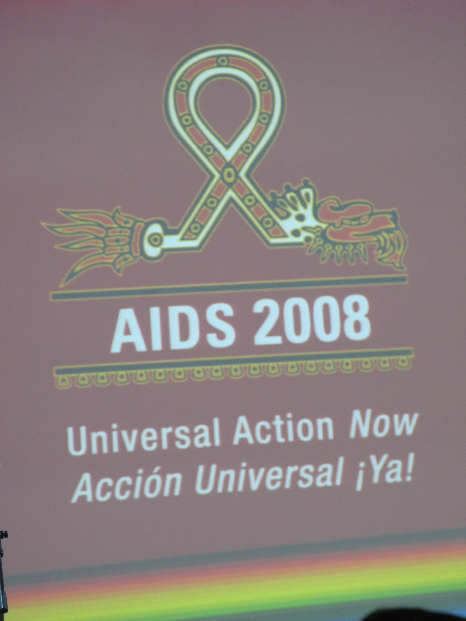 aids 2008